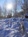 Winter landscape. Snowy mountains. Frozen trees.Sunny winter day