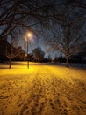 A Winter Snowy Park Trail Royalty Free Stock Photo