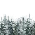 Winter pine tree forest. Watercolor spruce trees landscape illustration. Snowy foggy woods. Christmas background Royalty Free Stock Photo