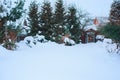 Winter snowy garden view with conifers