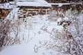 Winter snowy garden view Royalty Free Stock Photo