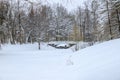 Winter snowy landscape. Bridge over the frozen pond. Snow-covered park on a cold winter day