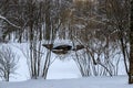 Winter snowy landscape. Bridge over the frozen pond. Snow-covered park on a cold winter day