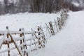 Winter snowy landscape Royalty Free Stock Photo