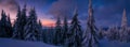 Winter snowy landscape with fresh snow covered trees and mountain forest at winter evening Royalty Free Stock Photo