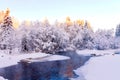 Beautiful winter snowy landscape in the morning in the forest outside the city. Royalty Free Stock Photo