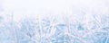 Winter snowy landscape. Lovely winter day. Christmas New Year holiday background with snowy plants, snowf