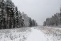 Winter snowy landscape in the middle zone of Russia Royalty Free Stock Photo