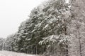 Winter snowy landscape in the middle zone of Russia Royalty Free Stock Photo