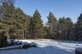 Winter snowy landscape with mixed coniferous and deciduous forest and snow-covered glade in the Vitosha mountain