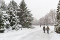 Winter snowy landscape in Montreal