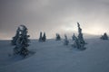 Winter snowy landscape in mountain cloudy day misty forest Royalty Free Stock Photo