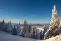 Winter snowy landscape, Postavaru Brasov. Mountain Landscape