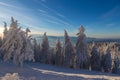 Winter snowy landscape, Postavaru Brasov. Mountain Landscape