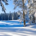 1502 Winter Snowy Landscape: A serene and wintry background featuring a snowy landscape with snow-covered trees, glistening snow