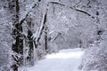 Winter snowy landscape. Snow-covered alley in the park on a frosty day. Winter walk in the garden Royalty Free Stock Photo
