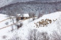 Winter snowy landscape of the transylvanian village