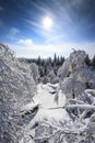 Winter Snowy Landscape View from Mountains Top Royalty Free Stock Photo