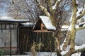 Birdhouse on a tree in the garden. Marzahn-Hellersdorf Berlin Germany