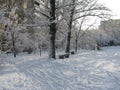 Winter snowy morning in the city courtyard