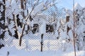 Winter snowy mountain rustic scenery