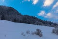 Trees covered by fresh snow in Alps. Stunning winter landscape. Royalty Free Stock Photo