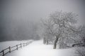 Winter path in the Giant Mountains