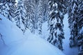 Winter Snowy Road at the Pine Forest or Spruce Woods at the Mountains with Snow Royalty Free Stock Photo