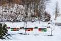 Winter, snowy scenery with colorful beehives covered with snow, placed on the hill. Snow covered trees and mountains in the