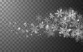 Winter snowy transparent abstract background with flying snowflakes.
