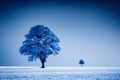 winter snowy tree in field. AI generated Royalty Free Stock Photo