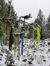 Winter snowy tree of wishes with the attached colored ribbons shaman tree