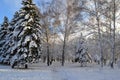 Winter is snowy in Ukraine