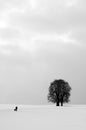 Winter solitude Royalty Free Stock Photo