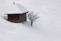 Winter solitude with tree and cottage Royalty Free Stock Photo