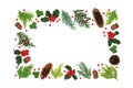 Winter Solstice and Christmas Holly and Greenery Border