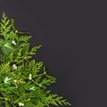 Winter Solstice Greenery Background Border Royalty Free Stock Photo