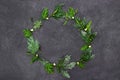 Winter Solstice Mistletoe and Cedar Cypress Wreath Royalty Free Stock Photo