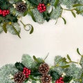 Winter Solstice Natural Greenery Border Royalty Free Stock Photo