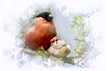 Winter song bullfinch birds and finches.