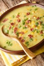 Winter soup corn chowder with bacon and green onions close-up in a plate. vertical