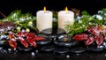 winter spa concept of evergreen branches, red leaves with drops, snow, candles on zen basalt stones, panorama Royalty Free Stock Photo