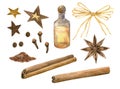 Winter spices. Cinnamon roll, pinch, star anise, clove, pepper. Bottle, stars and bow. Set of elements. Hand drawn watercolor Royalty Free Stock Photo