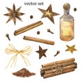 Winter spices. Cinnamon roll, pinch, star anise, clove, pepper. Bottle, stars and bow. Set of elements. Hand drawn Royalty Free Stock Photo