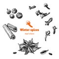 Winter spices isolated on white vector hand drawn illustration