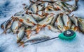 Winter sport ice fishing Royalty Free Stock Photo