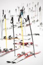 Skis parking, snowy winter scene, next to a ski slope