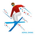 Winter sports: Aerial skiing. Freestyle skier during a jump