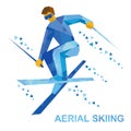 Winter sports: Aerial skiing. Freestyle skier during a jump