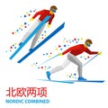 Winter sports - Nordic Combined - Ski Jumping and Cross Royalty Free Stock Photo